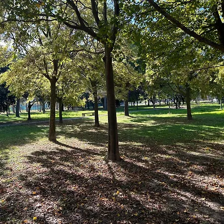 L T Miramare * Giulianova